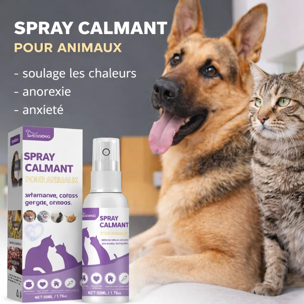 Miniature spray vue 4